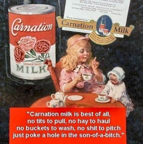 carnation enhanced-buzz-10233-1334082455-60