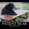 Patient+bear_70d1de_3973404