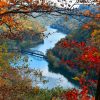 NEW-RIVER-GORGE-PHOTO-BEST-VERSIOn-shrunk-for-fb--8-31-24-RE-SAVE--LDAS-2024--entry_302