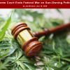 Screenshot 2026-06-19 at 07-54-04 Supreme Court Ends Federal War on Gun-Owning Potheads The Libertarian Institute