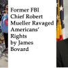jpb-collage-mueller-public-domain-protestor-photo-i-took