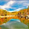 jpb-canal-towpath-photo-at-50%-size-without-the-gleam-maybe-better-2012-or-so-tweaked-with-copyright-2014